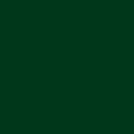 Premium501 emerald green